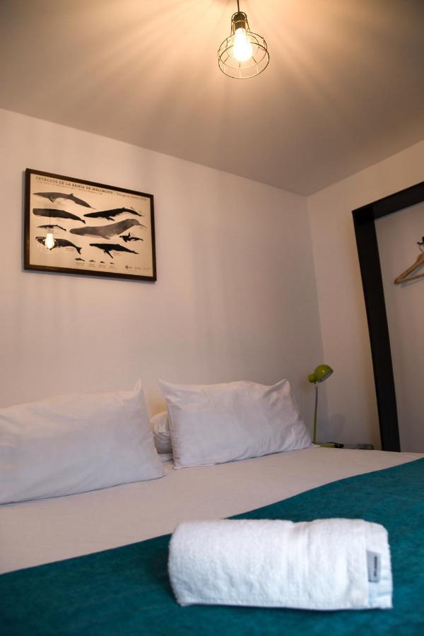 Hostal Boutique Terra Antarctica Punta Arenas Luaran gambar