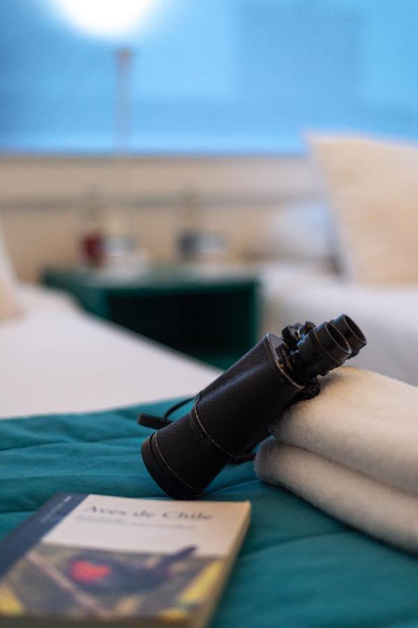 Hostal Boutique Terra Antarctica Punta Arenas Luaran gambar